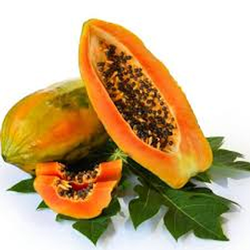 Carica Papaya