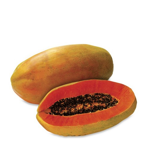 Carica Papaya