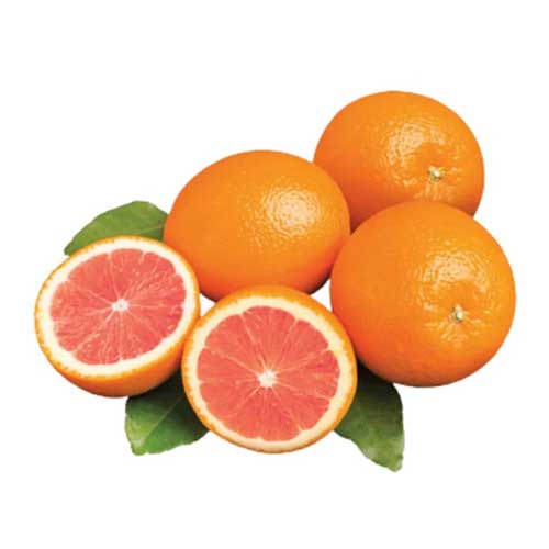Navel Orange