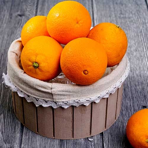 Navel Orange