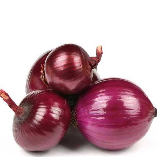 Red Big Onion