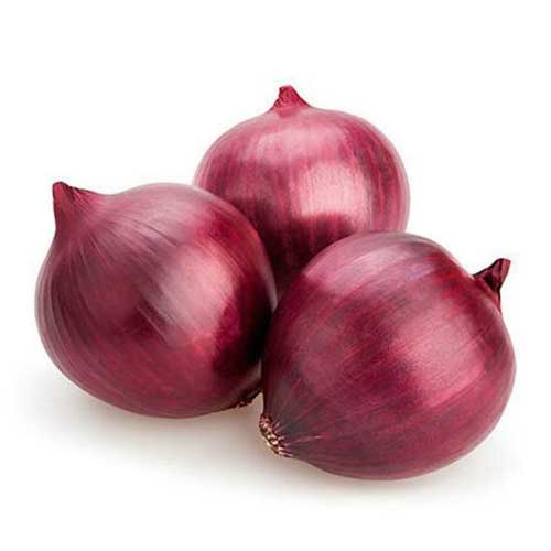 Red Big Onion