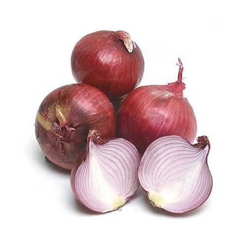 Red Big Onion