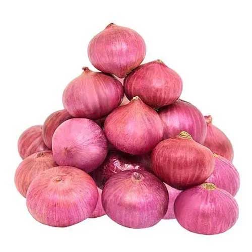 Red Big Onion