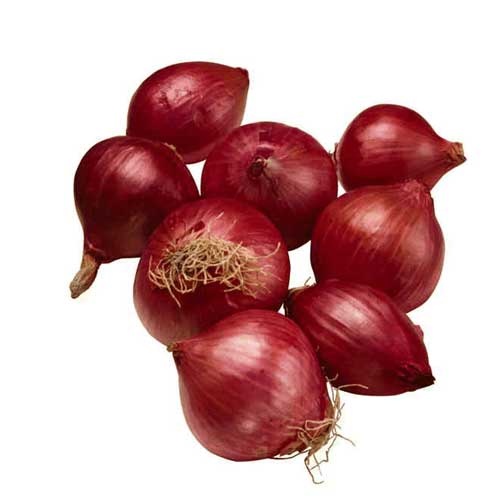 Red Big Onion