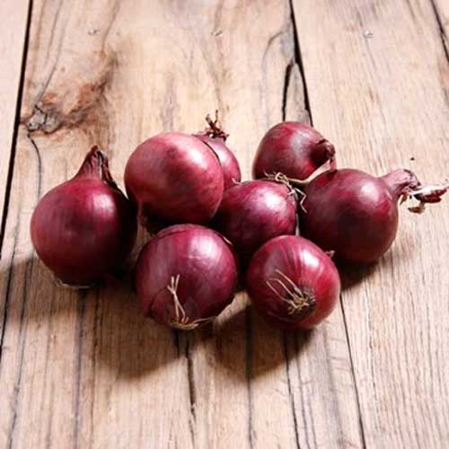 Red Big Onion
