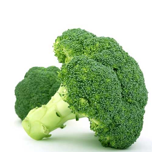 Fresh Broccoli