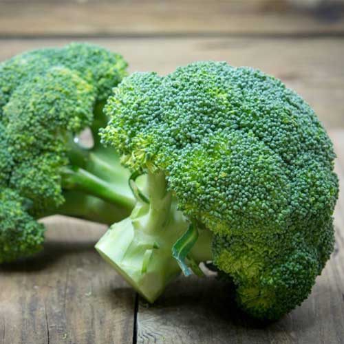 Fresh Broccoli
