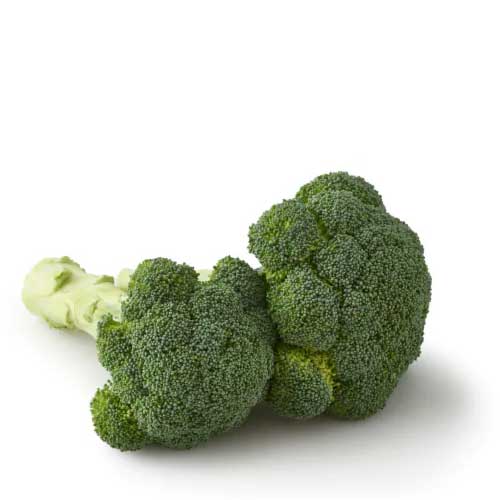 Fresh Broccoli