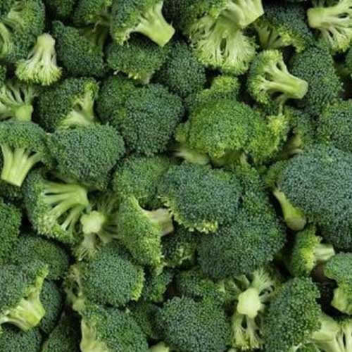 Fresh Broccoli