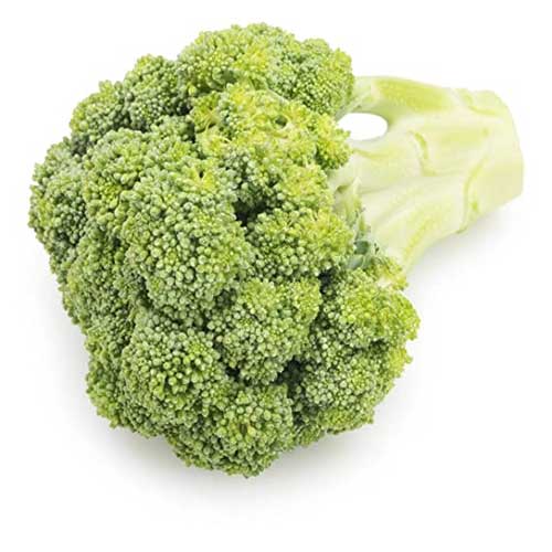 Fresh Broccoli