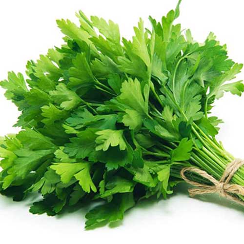 Parsley Leaves