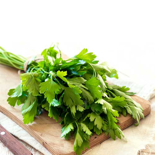 Parsley Leaves