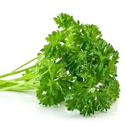 Parsley Leaves