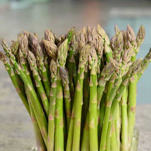 Green Asparagus