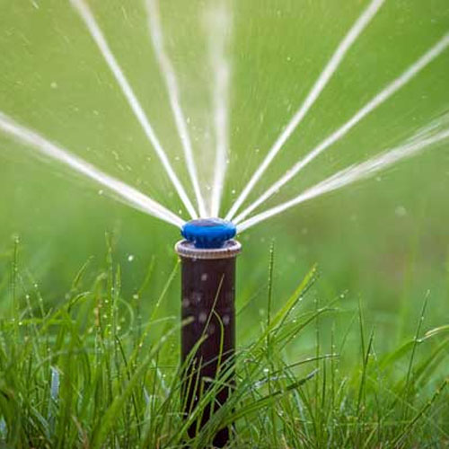 Drip Irrigation Sprinkler System