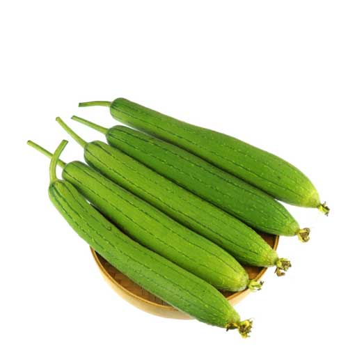Sponge Gourd