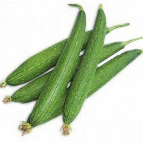 Sponge Gourd