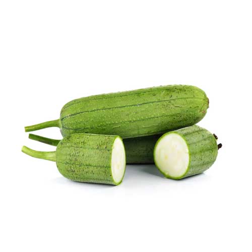 Sponge Gourd