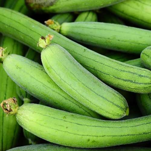 Sponge Gourd