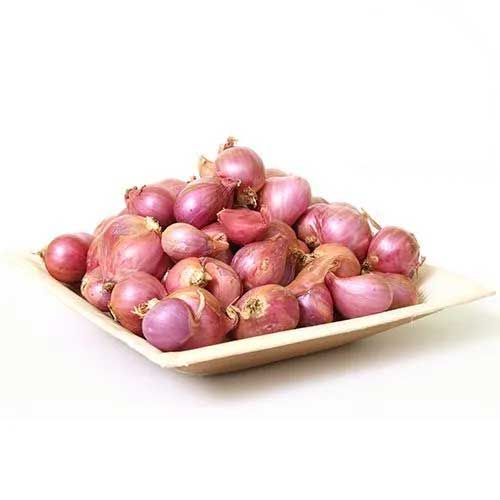 Red Small Onion
