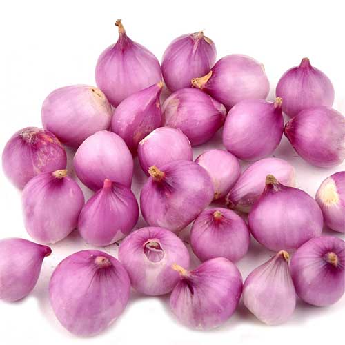 Red Small Onion