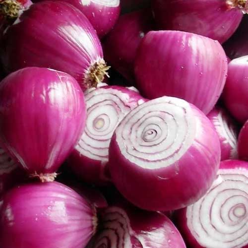 Red Small Onion
