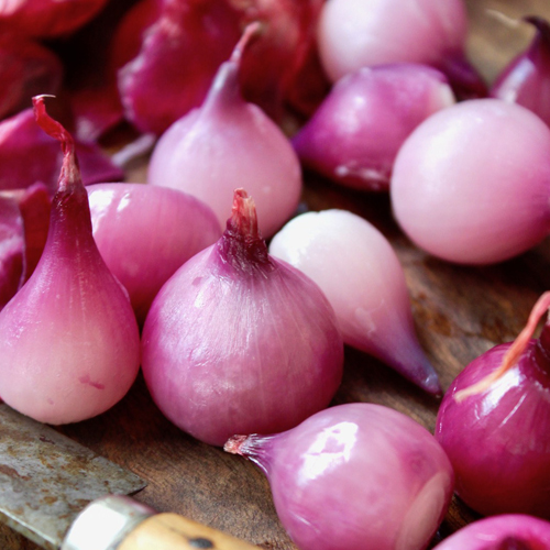 Baby Onions