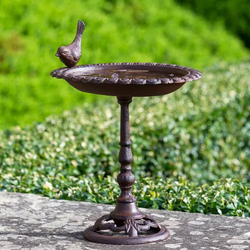 Iron Bird Bath