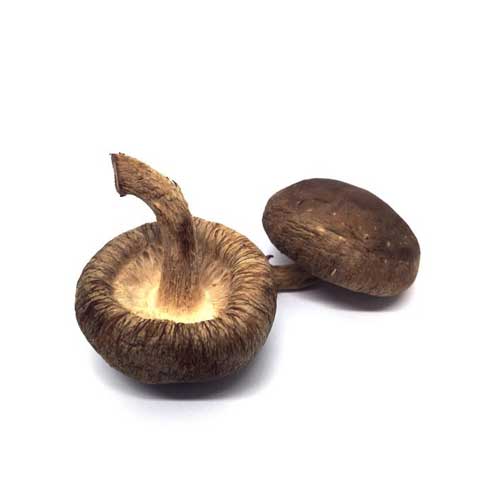 Dried Shiitake Mushroom