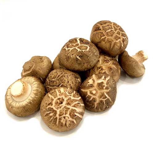 Dried Shiitake Mushroom