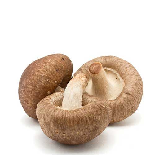 Dried Shiitake Mushroom