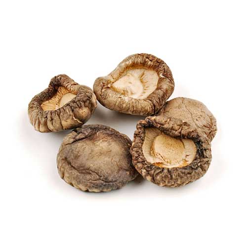 Dried Shiitake Mushroom
