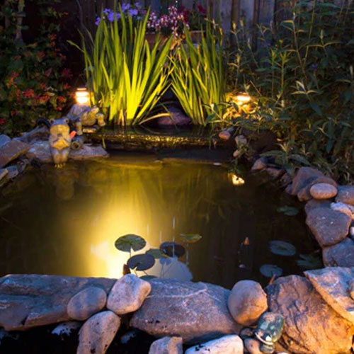 Pond Lighting