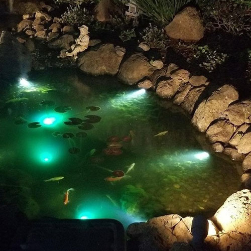 Pond Lighting