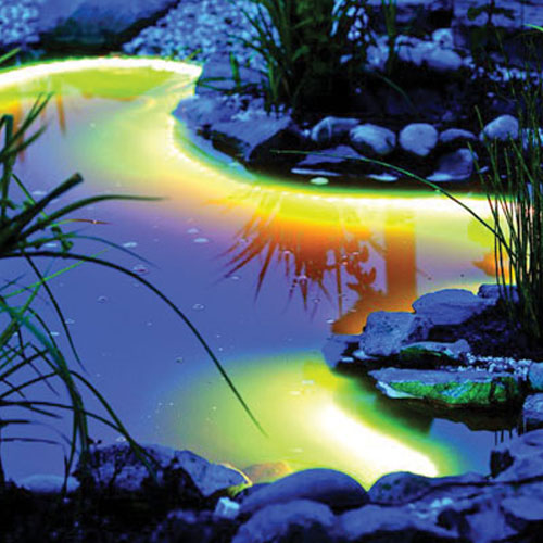 Pond Lighting