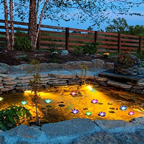 Pond Lighting