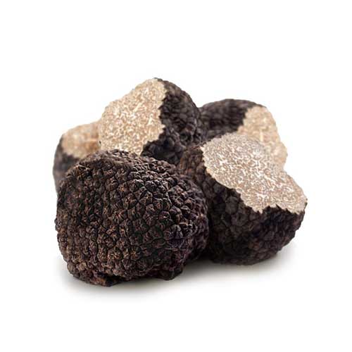 Fresh Truffles