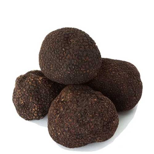 Fresh Truffles