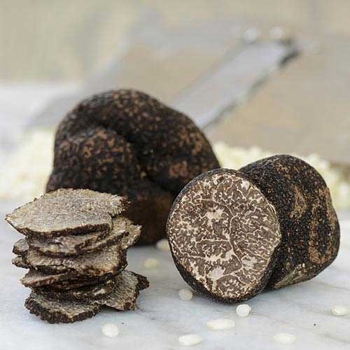 Fresh Truffles