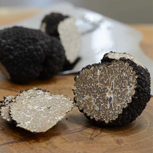Fresh Truffles