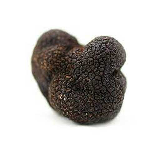 Fresh Truffles