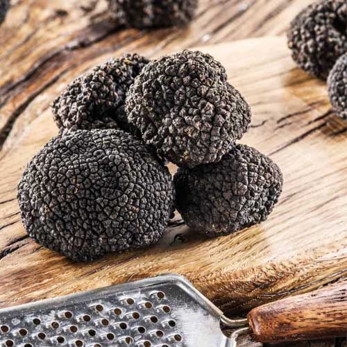 Fresh Truffles