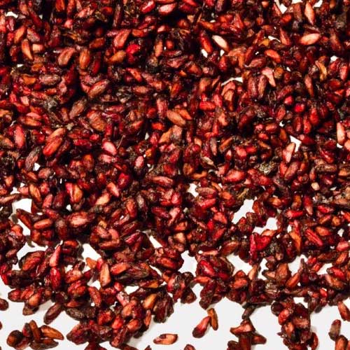 Dry Pomegranate Seeds