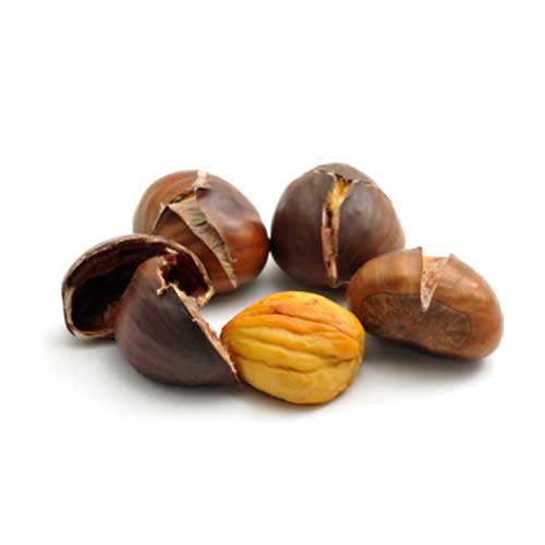 Fresh Chestnut