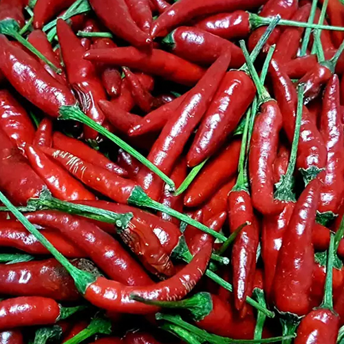 Birds Eye Red Chilli