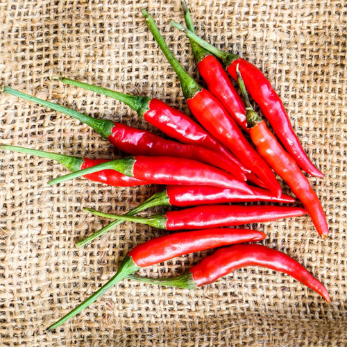 Birds Eye Red Chilli