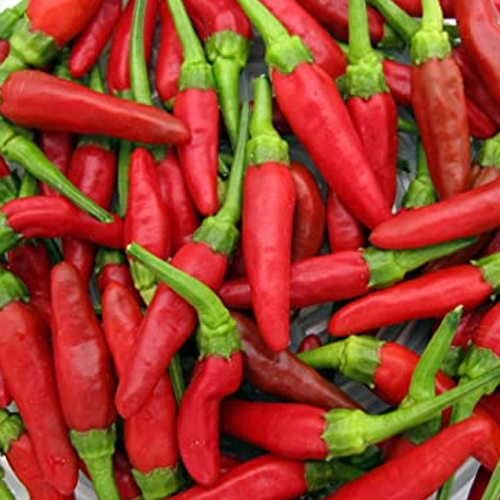 Birds Eye Red Chilli