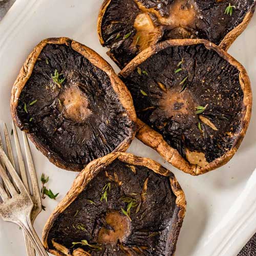 Portobello Mushroom