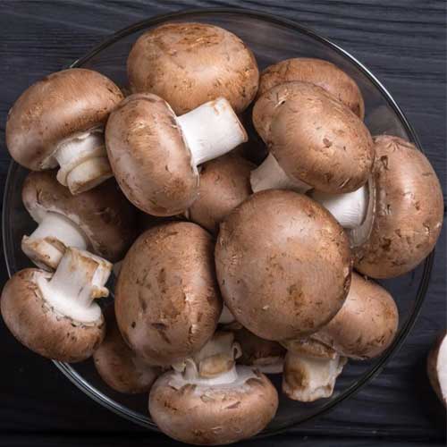 Portobello Mushroom